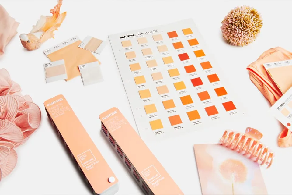 Peach Fuzz, la couleur tendance de l'agencement commercial 2024